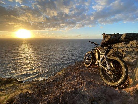 You can't take them into the water (yet) but an ebike will take you wherever you want to go around the island.