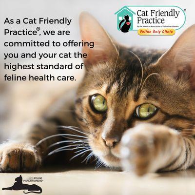 We are a "Gold Status" Certified Cat Friendly Practice