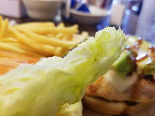 Grilled chicken with teriyaki avocado, french fries