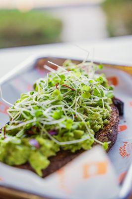 Avocado toast with micro greens