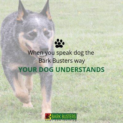 Bark Busters - Speaking Dog