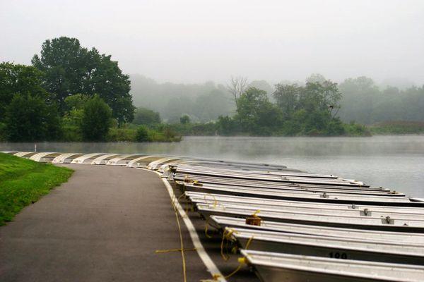 MWF BOAT HARBOR