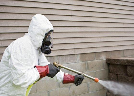 Los Angeles pest removal