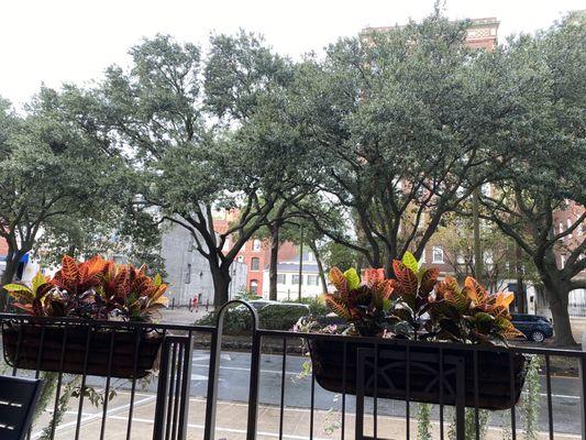 Street view from the patio