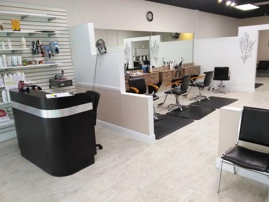 Mane Design Hair salon