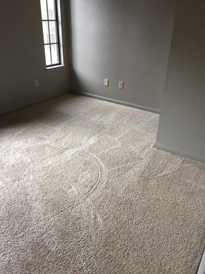 This room was used to be a theater and had stains from spills and high traffic.