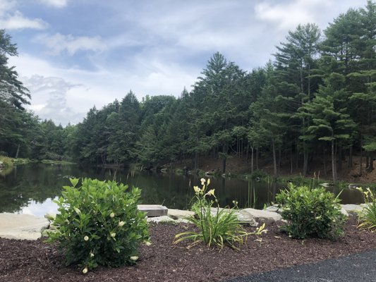 View of the pond