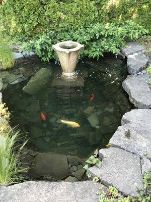 Pond after cleaning never looked better!