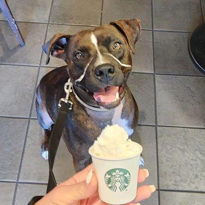 Good boys get a pop cup when they're done from the local Starbucks in the plaza