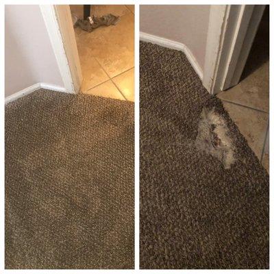 C&J Carpet Care