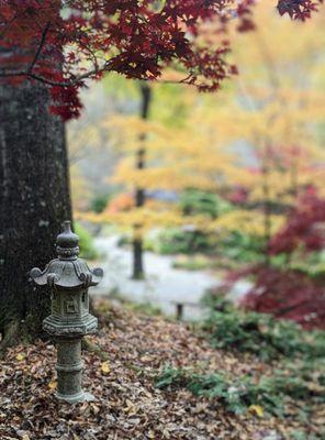 Japanese Garden