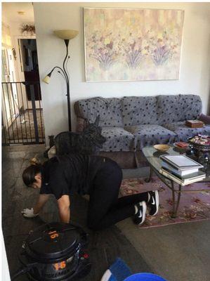 Technician detail cleaning a hardwood floor