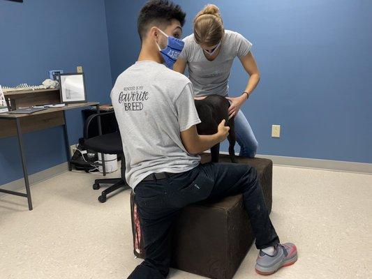 Dr Valentina working on a rescue dog with hip issues