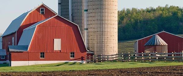 Farm/ Ranch Insurance