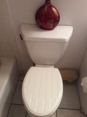 New toilet seat