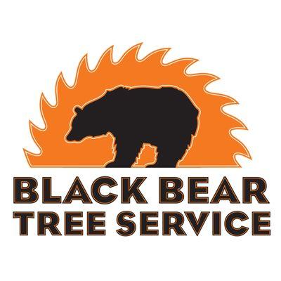 Black Bear Tree Logo