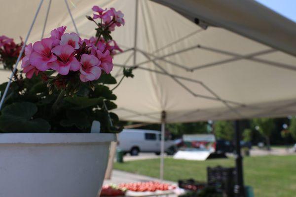 Grand Blanc Farmers Market 2017