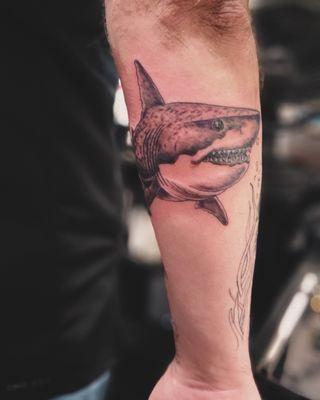 Shark tattoo
 Tattoo artist Jerrie