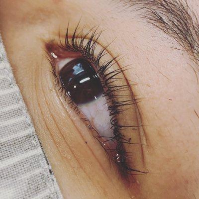 Lash Lift