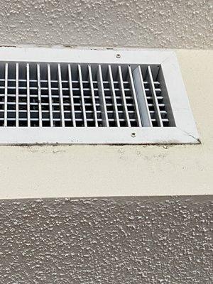 Mold by the ac vent