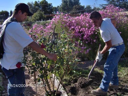 Day Worker Center of Mountain View - gardening at Stanford