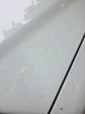 After car wash. The soap did not wash off.