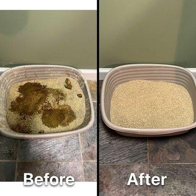 Kitty Litter Box Deep Clean