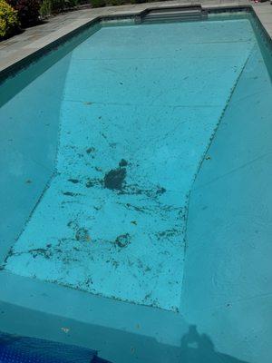 The day they claimed they had vacuumed my pool...