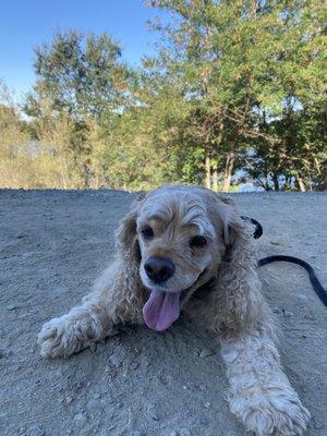 Bella at the park.