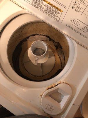 Laundry left to mildew