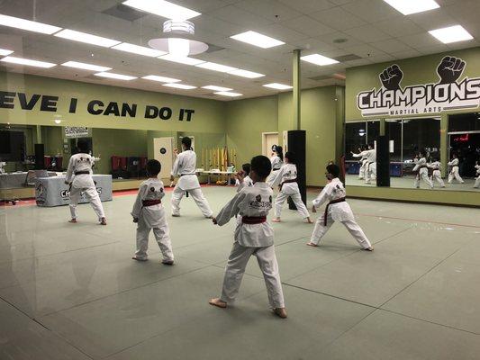 Black belt pretest practice.