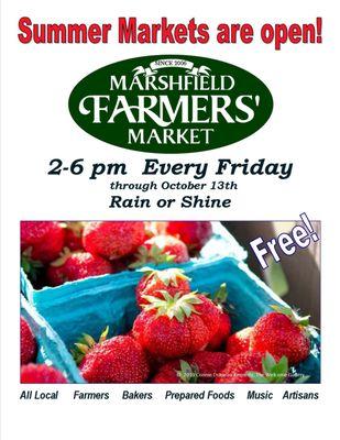 Strawberries at the Market - JUNE