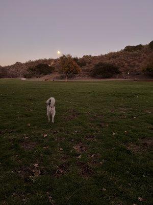 It's a full moon tonight and empty park!