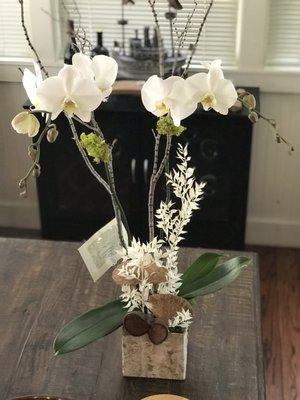 White orchid arrangement