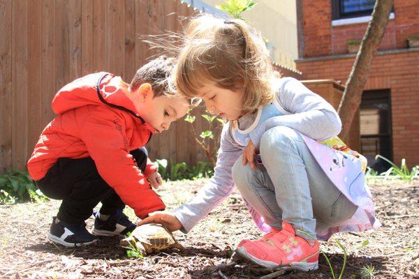 Explorer Studio - French & Mandarin Immersion Preschool