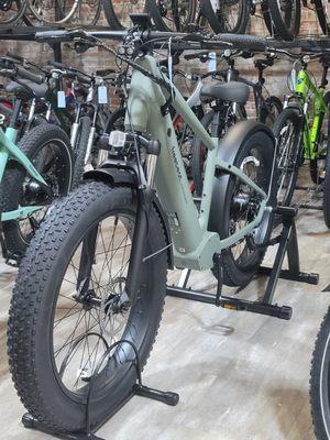 Freebeat Morph 2 in 1 indoor and outdoor e-Bike