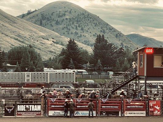 Chutes with Broncs ready to go