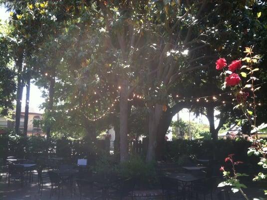 Handles Gastropub in Pleasanton.  The outdoor lighting installed by BEI is even better in the evening!!