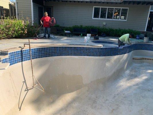 Dolphin Pool Services, LLC 2020 - Waterline tile replacement & Raised Wall