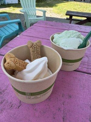 Pup cup & scoop of pistachio -- the pistachio was nice n' creamy with soft chunks of pistachios