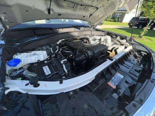 Engine bay clean