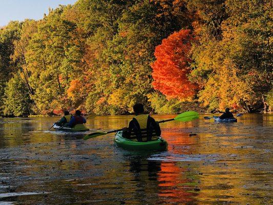 Beautiful scenery going up the St Joe river from Riverside.