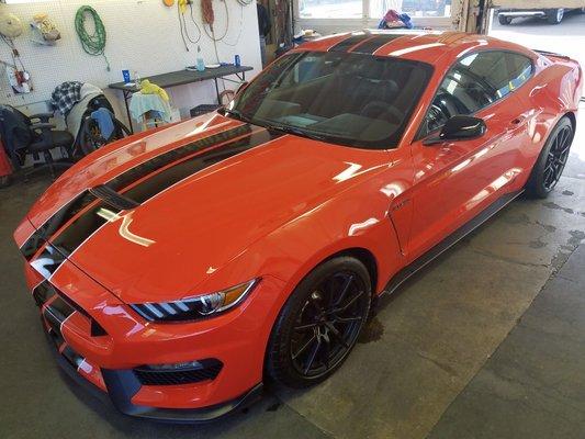 2016 GT 350 shelby cobra