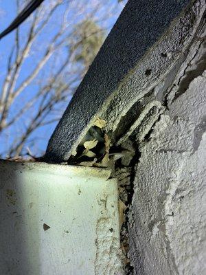 Hole through the roof that rats were using