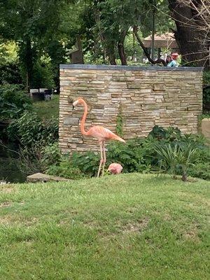 Louisiana Purchase Gardens & Zoo