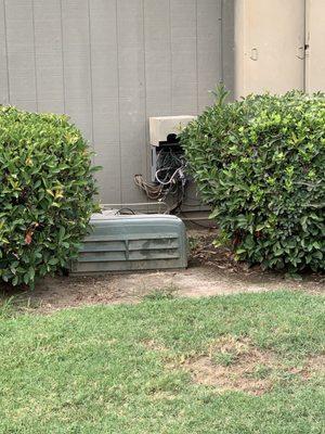 Wires sticking out from electric panel, while kids play around these area.