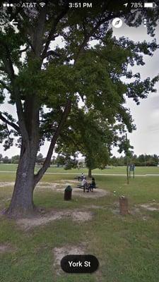 Picnic Tables and Shady Trees taken on York Street   --From Google Earth