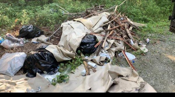 Junk and trash removal from an illegal dumping site.