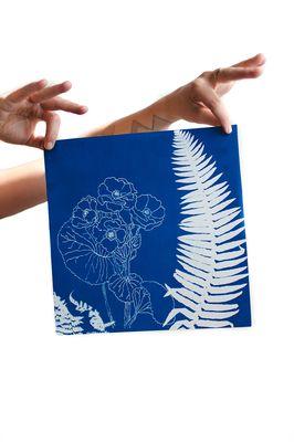 Botanical Cyanotype Printing