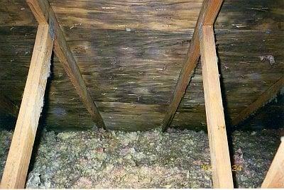 Attic Mold Removal and Remediation.